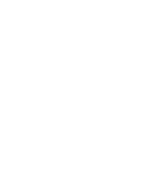 icono blanco correcto (2)