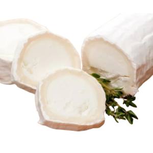 Diseño sin título 2025 11 11T100956.697