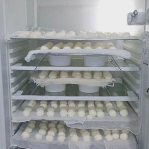 Diseño sin título 2025 11 11T113017.423