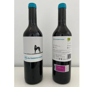 Diseño sin título 2025 11 13T115052.803